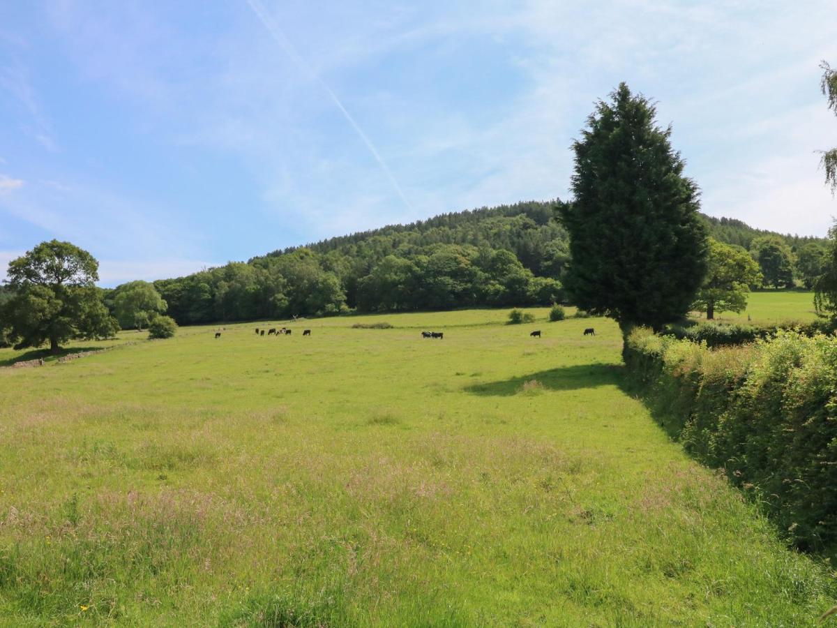 Lees Moor Cottage 매틀록 외부 사진